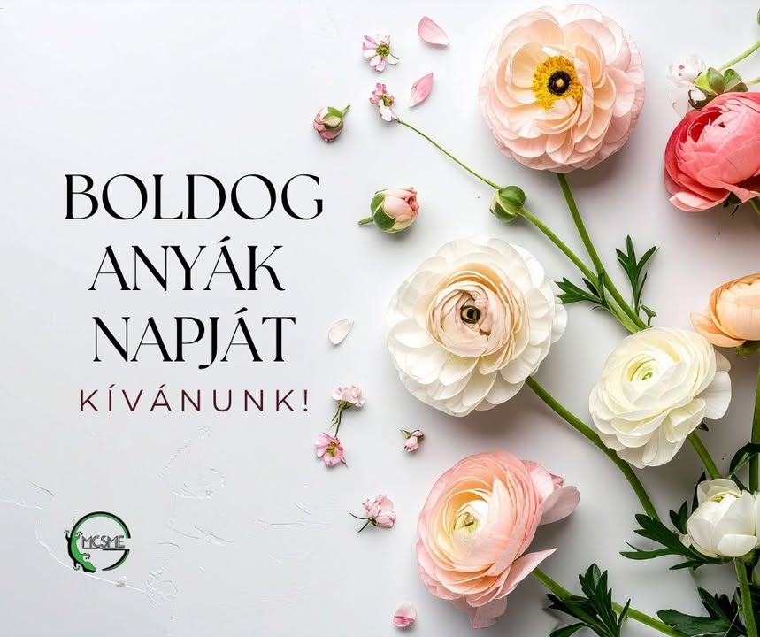 Mozgáskorlátozottak Csongrád Megyei Egyesülete